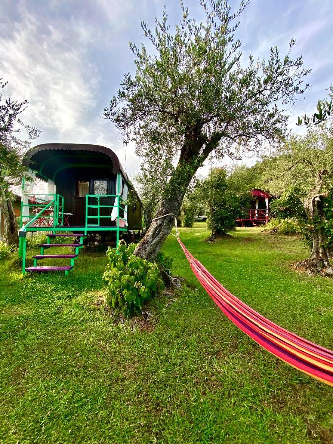 Azienda Agricola Della Mezzaluna Stiava Ngoại thất bức ảnh